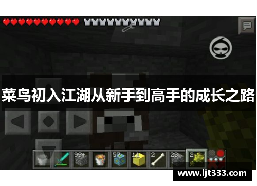 菜鸟初入江湖从新手到高手的成长之路